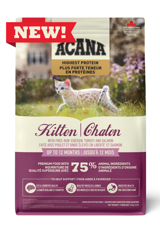 Highest Protein, Kitten Recipe